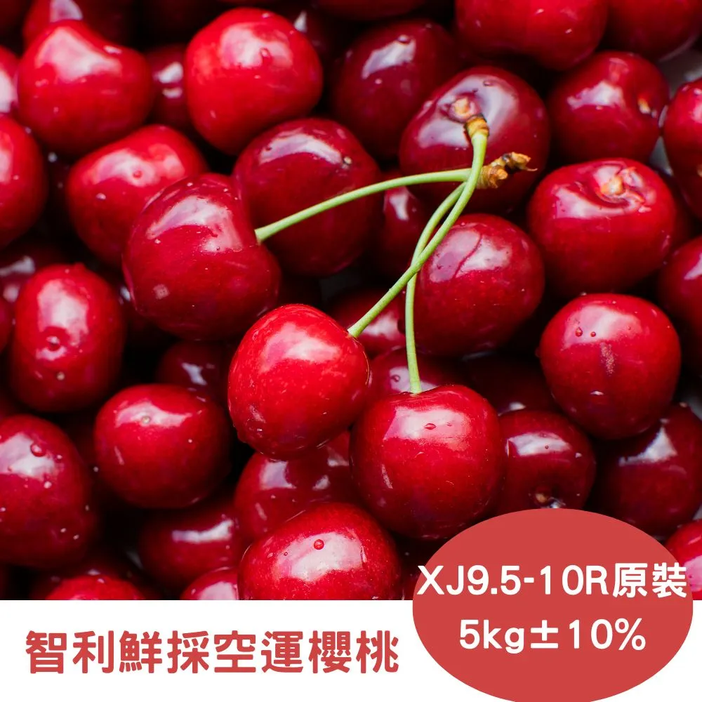 【RealShop 真食材本舖】智利空運鮮採P/9R-9.5R櫻桃 (600g±10%禮盒) 歷史價格詳細信息