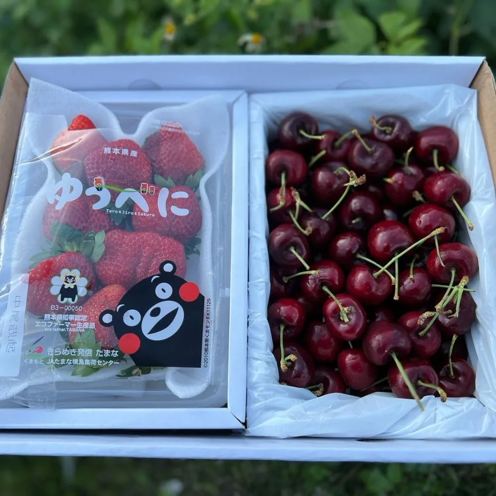 【RealShop 真食材本舖】年節夢幻禮盒 日本草莓＋紐西蘭櫻桃雙拼禮盒 歷史價格詳細信息