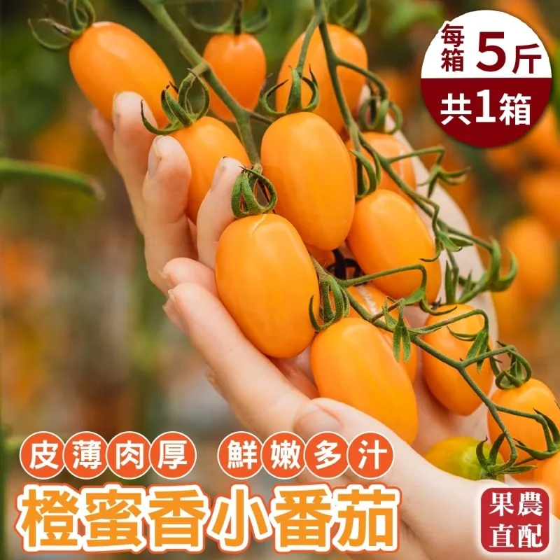 【農民直配x買1送1】台灣30A茂谷柑禮盒(5斤/箱_共2箱) 歷史價格詳細信息