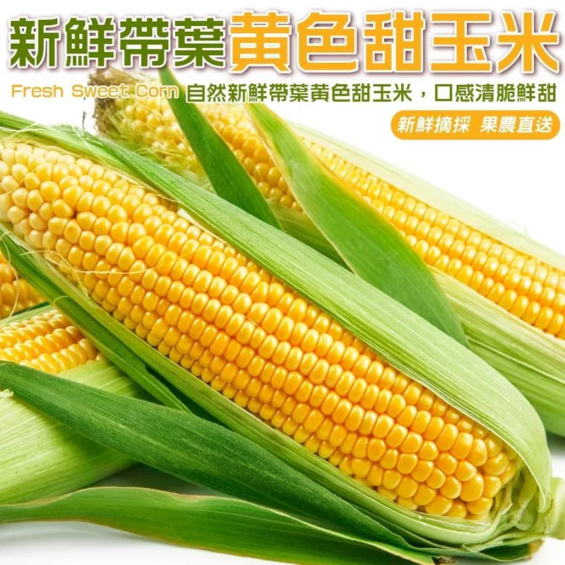 【果農直配】新鮮帶葉黃色甜玉米(5斤/箱) 價格比較,價格查詢,歷史價格詳細信息