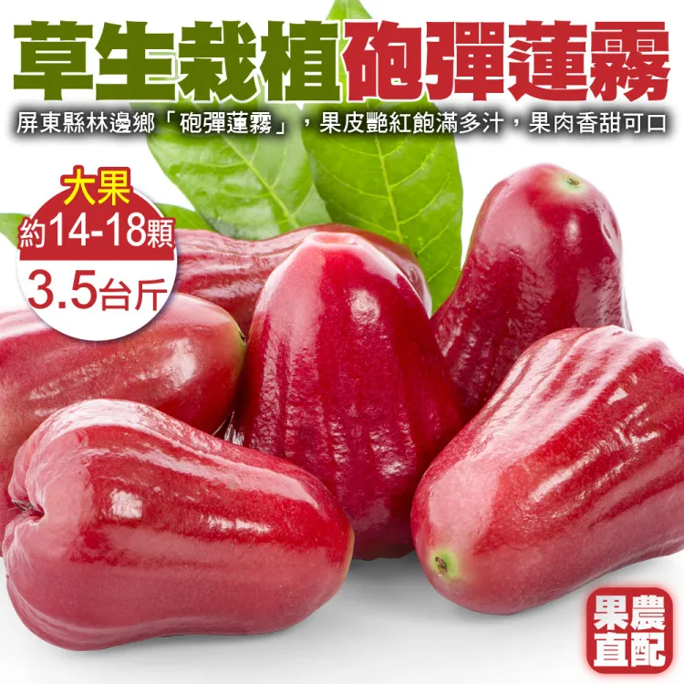 【果農直送】台灣頂級A+紅心芭樂(5斤/箱) 歷史價格詳細信息