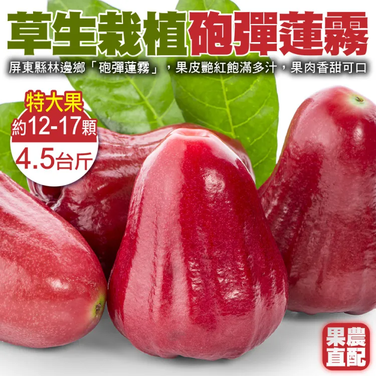 【果農直送】台灣頂級A+紅心芭樂(5斤/箱) 歷史價格詳細信息