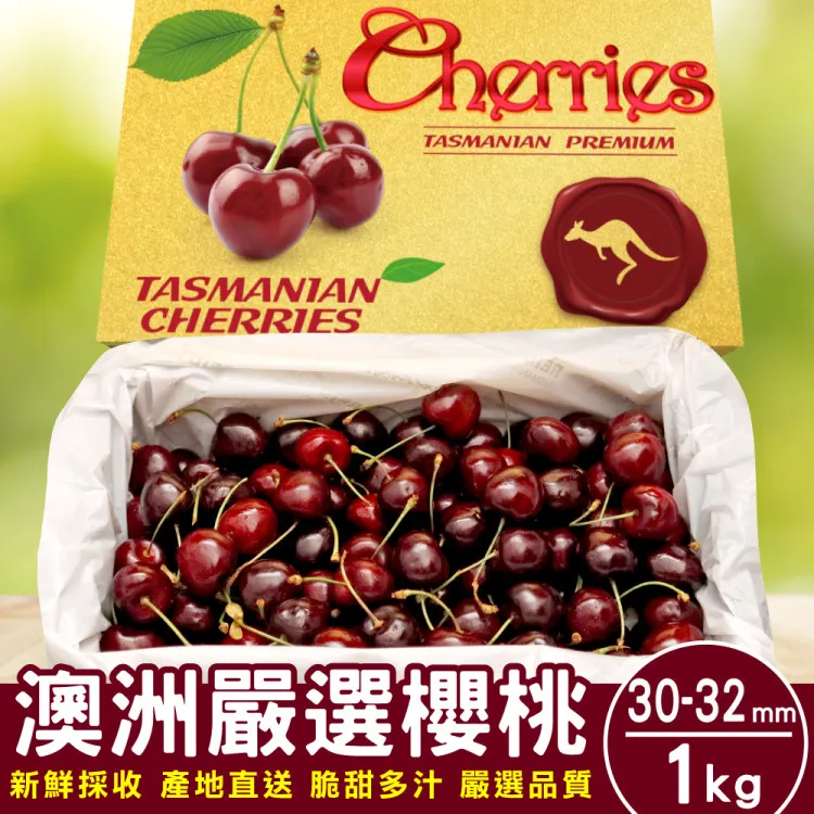 【澳洲KG】精選小提琴 100號(附贈精美提琴盒) 歷史價格詳細信息