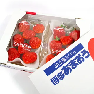 【鮮果日誌】日本世界一蘋果原箱(9-11入) 歷史價格詳細信息