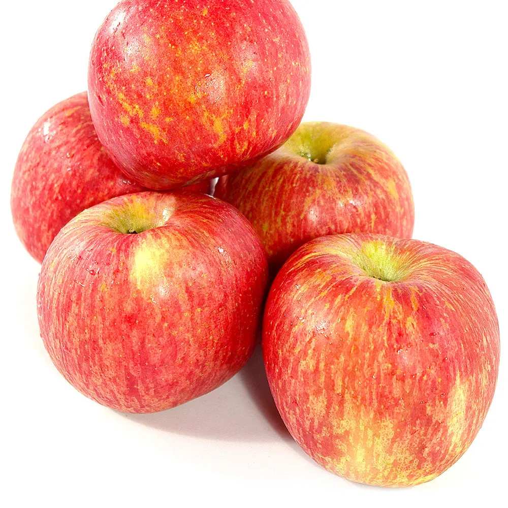 日本富士智能足 機全自動足底穴位腳步腿部腳部家 腳底按摩器儀 歷史價格詳細信息