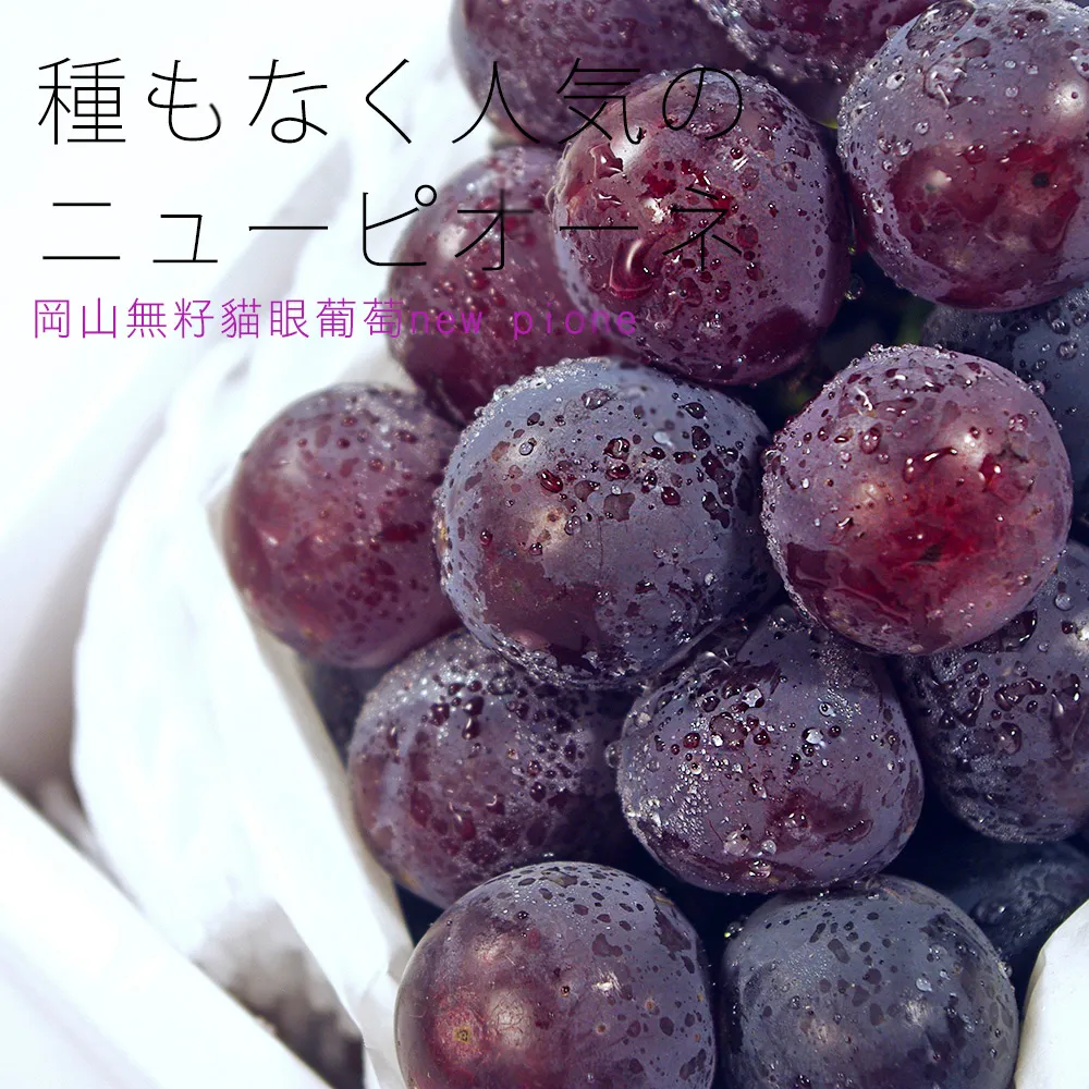 【鮮果日誌】蓮霧界的LV 黑糖芭比4台斤 歷史價格詳細信息