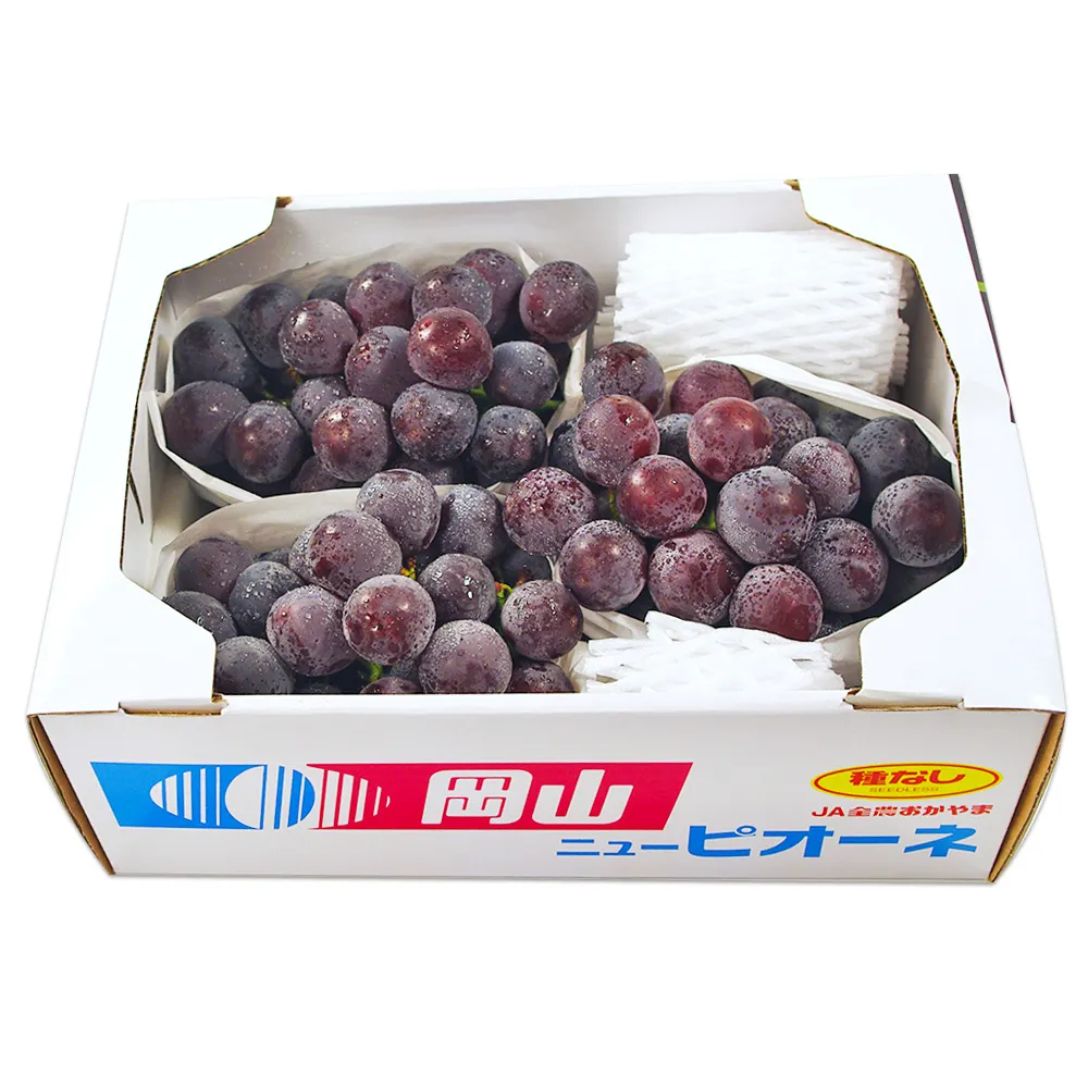 【鮮果日誌】蓮霧界的LV 黑糖芭比4台斤 歷史價格詳細信息