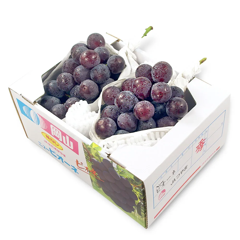 【鮮果日誌】蓮霧界的LV 黑糖芭比4台斤 歷史價格詳細信息