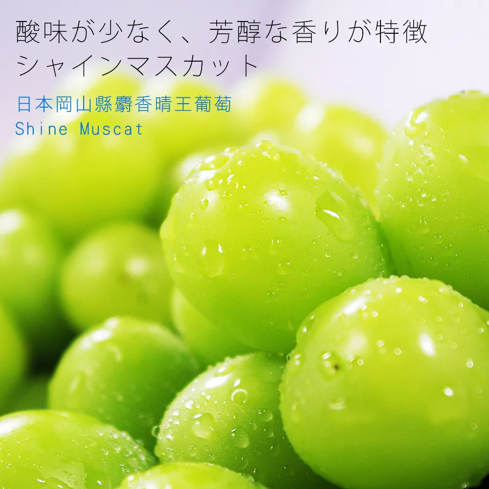 【鮮果日誌】清涼健康禮盒組(東勢台灣梨5入+巨峰葡萄2.5台斤) 歷史價格詳細信息