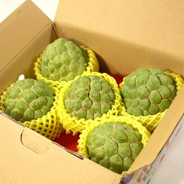 台東日暉國際渡假飯店公爵別墅一棟4人房，一般平日使用，期限2025/02/28日止 歷史價格詳細信息