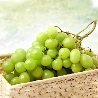 果之家 特選日本青森無蠟蜜蘋果原箱40顆入(單顆250g共10公斤) 歷史價格詳細信息