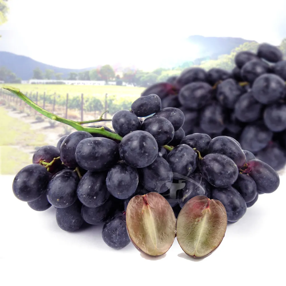 果之家 美國華盛頓榨汁富士蘋果72顆入20kg(單顆約275g) 歷史價格詳細信息