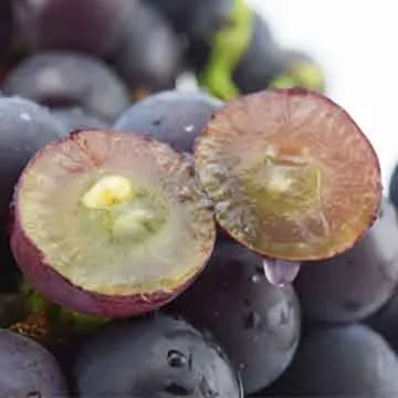 果之家 台灣特選甜蜜木瓜10台斤 歷史價格詳細信息