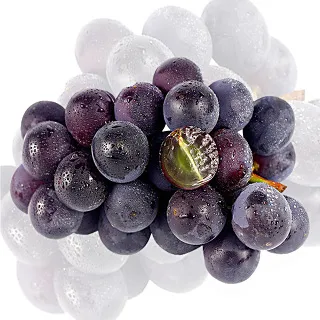 果之家 台灣特選甜蜜木瓜10台斤 歷史價格詳細信息