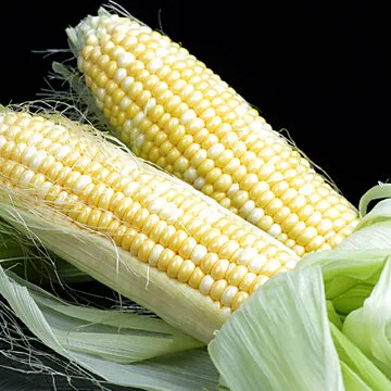 【鮮採家】爆汁香甜水果玉米10台斤1箱(約18-25支) 歷史價格詳細信息