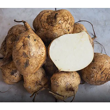 鮮採家 屏東清甜爽脆豆仔薯10台斤1箱 歷史價格詳細信息