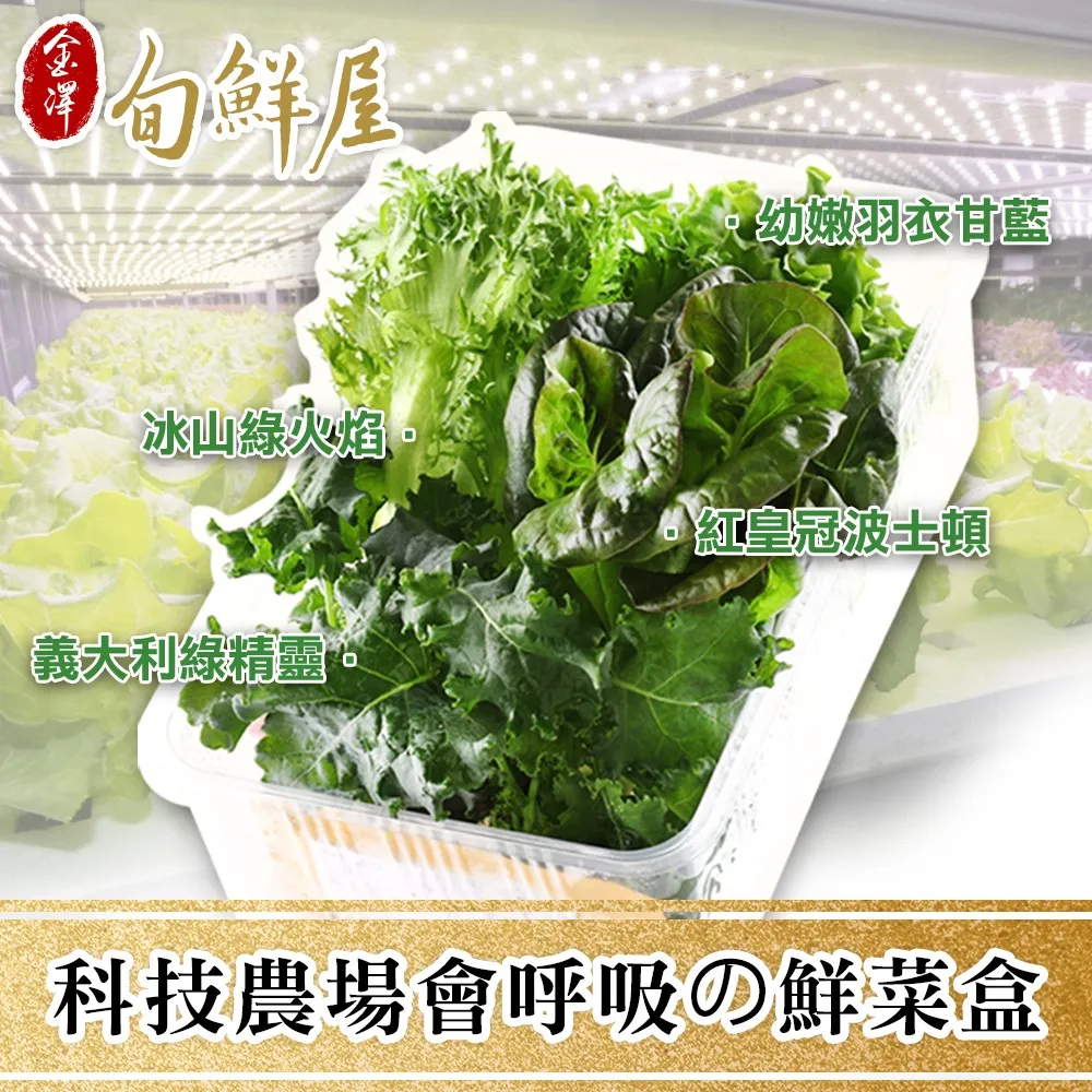 【金澤旬鮮屋】科技農場呼吸鮮蔬菜盒3盒 價格比較,價格查詢,歷史價格詳細信息