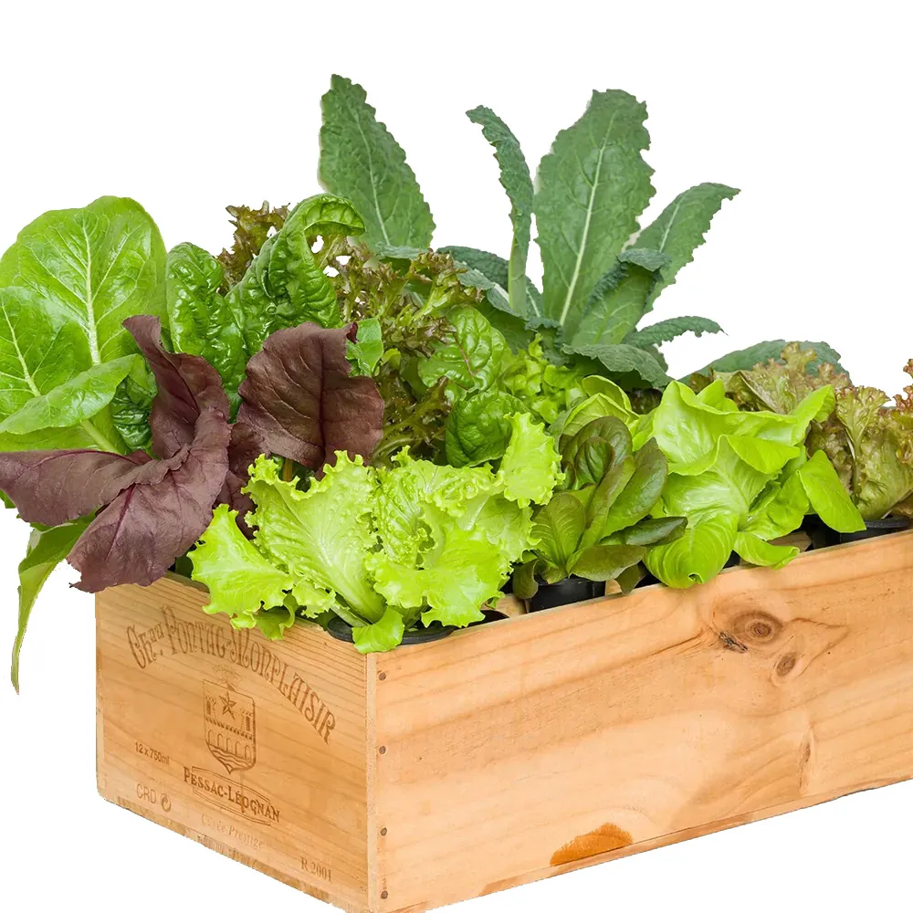 HOHOGA AG-8780G 墨線雷射儀 歷史價格詳細信息