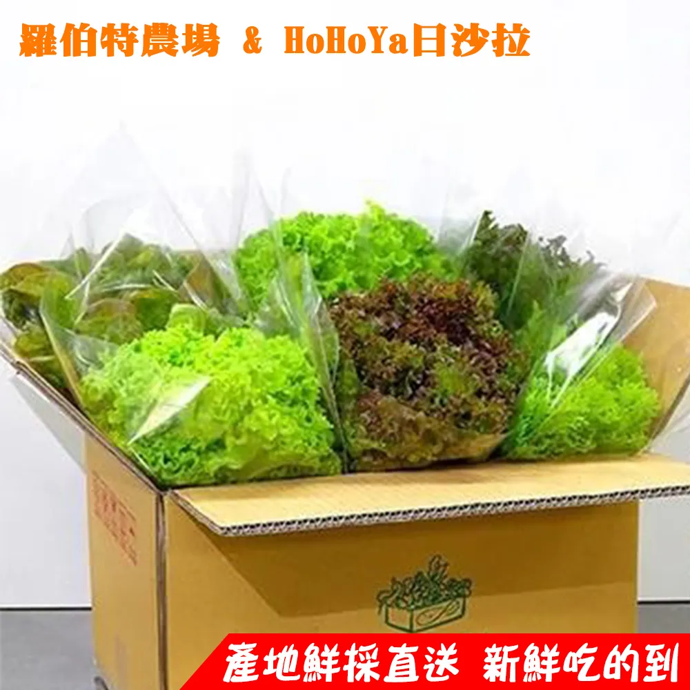 HOHOGA AG-8780G 墨線雷射儀 歷史價格詳細信息