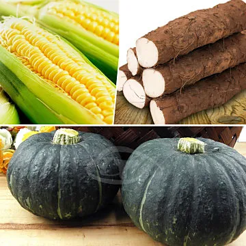 鮮採家 小資家庭綜合蔬果箱D組(洋蔥+地瓜+豆仔薯) 歷史價格詳細信息