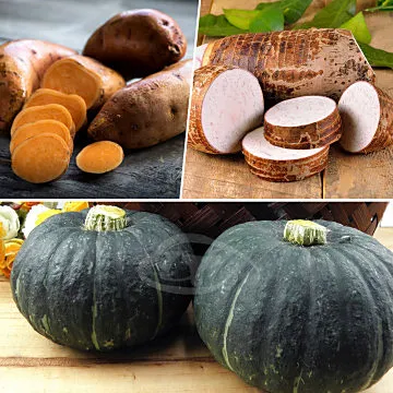 鮮採家 小資家庭綜合蔬果箱D組(洋蔥+地瓜+豆仔薯) 歷史價格詳細信息