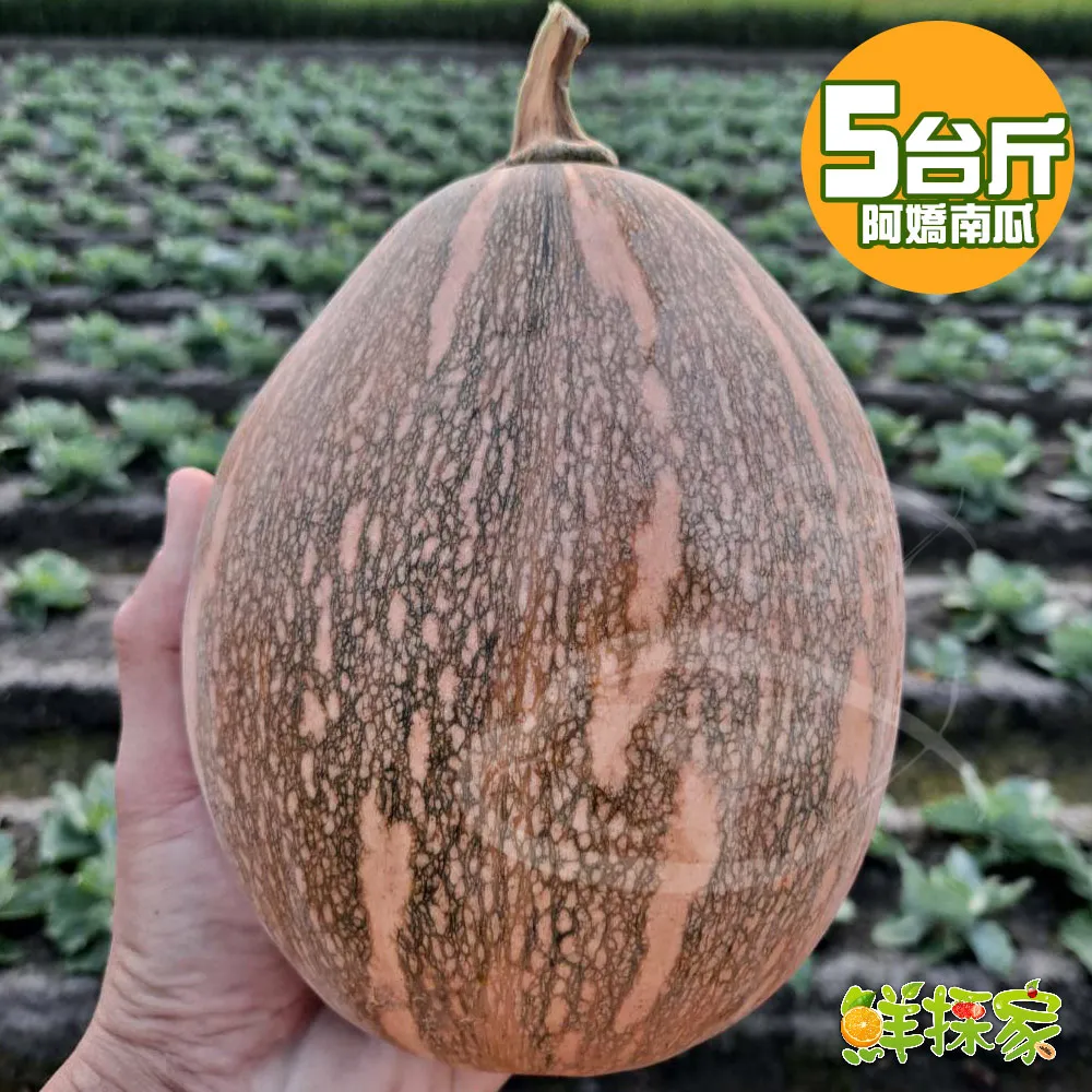 阿嬌紙草版蝴蝶結大簷帽夏季出遊空頂帽防曬遮陽帽品質太陽帽 歷史價格詳細信息