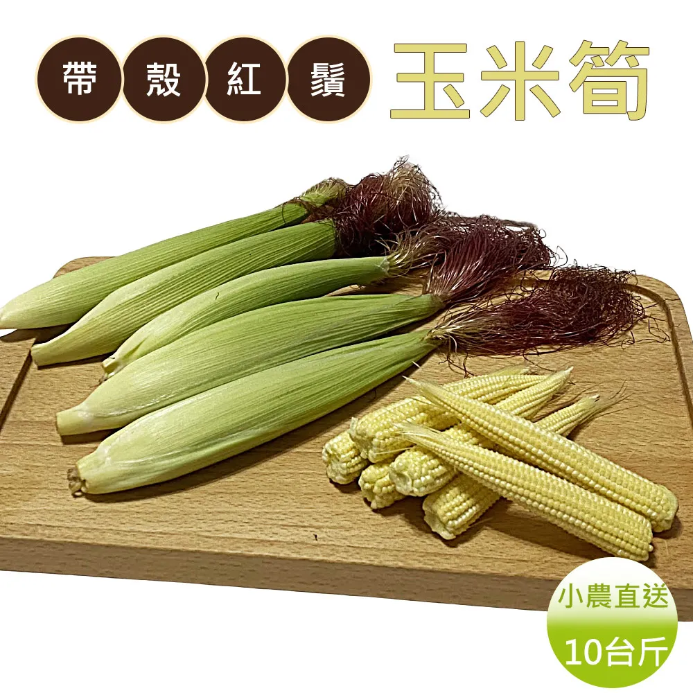 【小殼】紅薔薇石手錬 天然水晶 單圈圓珠粉晶手串 Rhodonite 芙蓉石 玫紅 歷史價格詳細信息