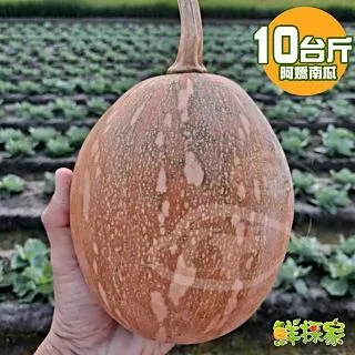 阿嬌紙草版蝴蝶結大簷帽夏季出遊空頂帽防曬遮陽帽品質太陽帽 歷史價格詳細信息