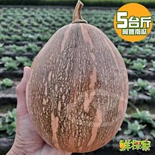 阿嬌紙草版蝴蝶結大簷帽夏季出遊空頂帽防曬遮陽帽品質太陽帽 歷史價格詳細信息