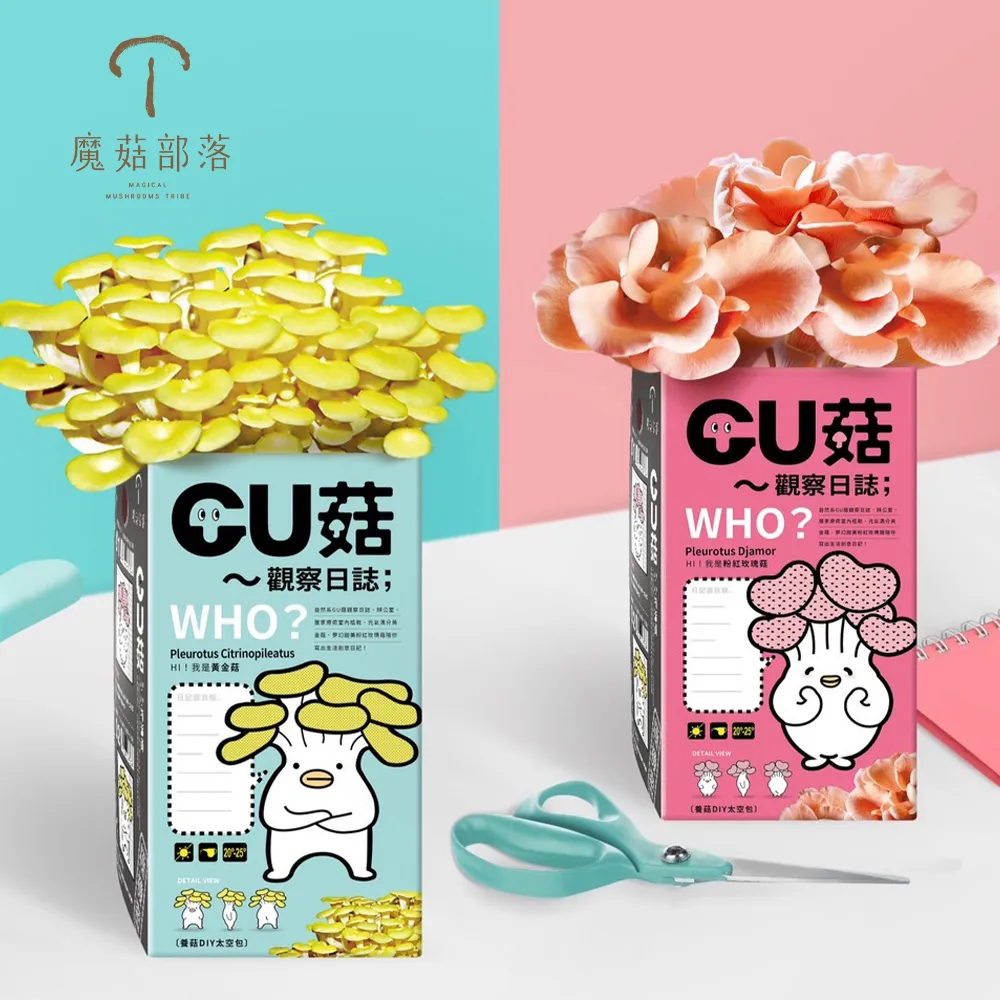 【4盒入】婕樂纖 高機能益生菌 VIP優惠價 歷史價格詳細信息