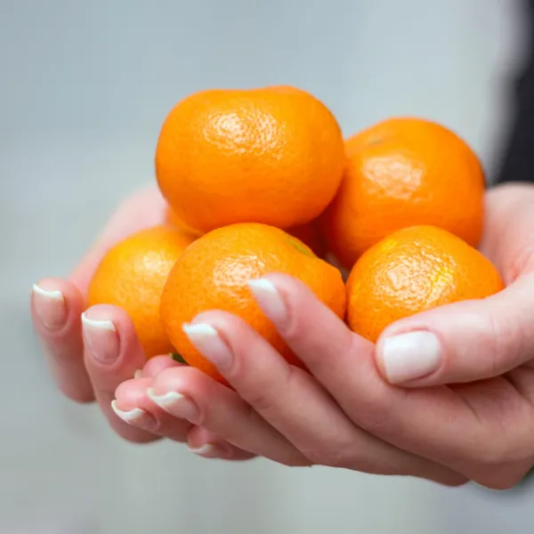 預購【南投埔里大坪頂產地直送】特A級台農1號百香果10台斤x1箱(產地直送_友善耕種) 歷史價格詳細信息