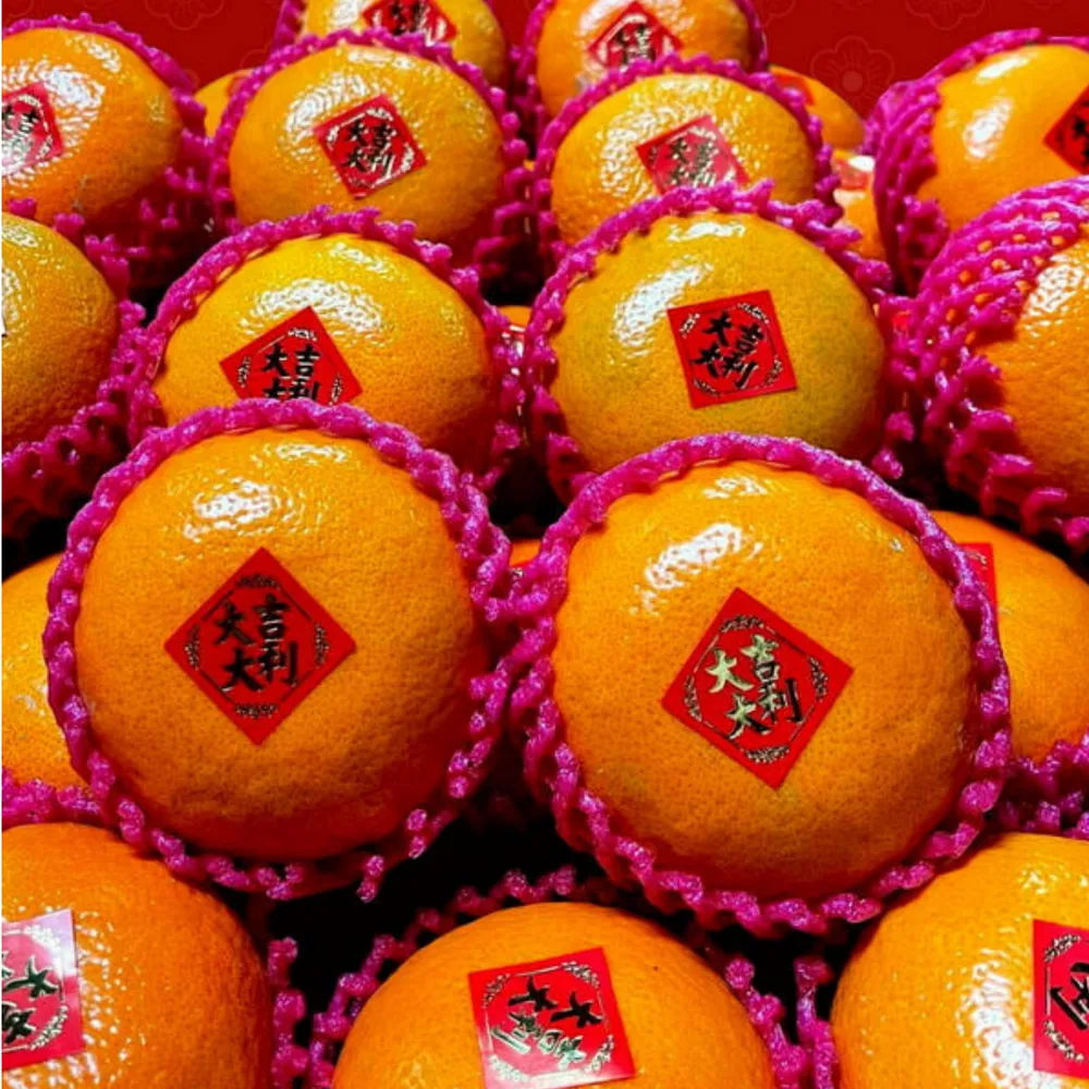 【預購】苗栗卓蘭 - 巨峰葡萄 2K±5%/二入 歷史價格詳細信息