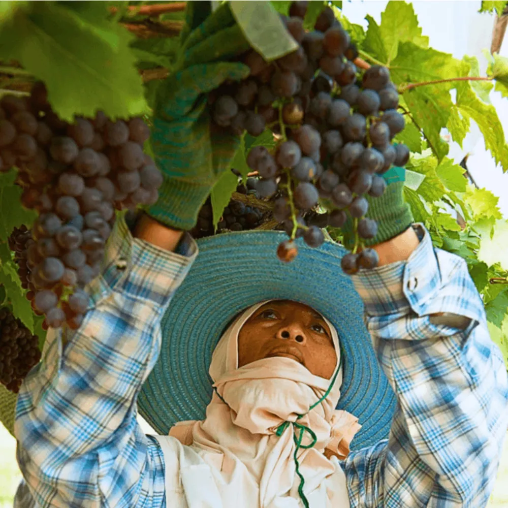 【K-2】巨石 雕像 反車線 藝術 人頭 長袖襯衫 不撞衫 寬鬆 穿搭 街頭 潮流 襯衫 男女不拘【ACXD29】 歷史價格詳細信息