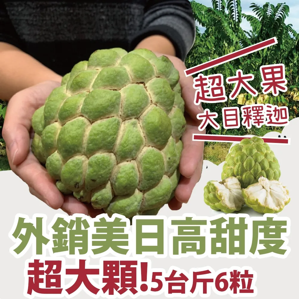 【十翼饌選果】豐耀農場 滿天星百香果5台斤x1箱(網室栽種/草生栽培/產地直送) 歷史價格詳細信息