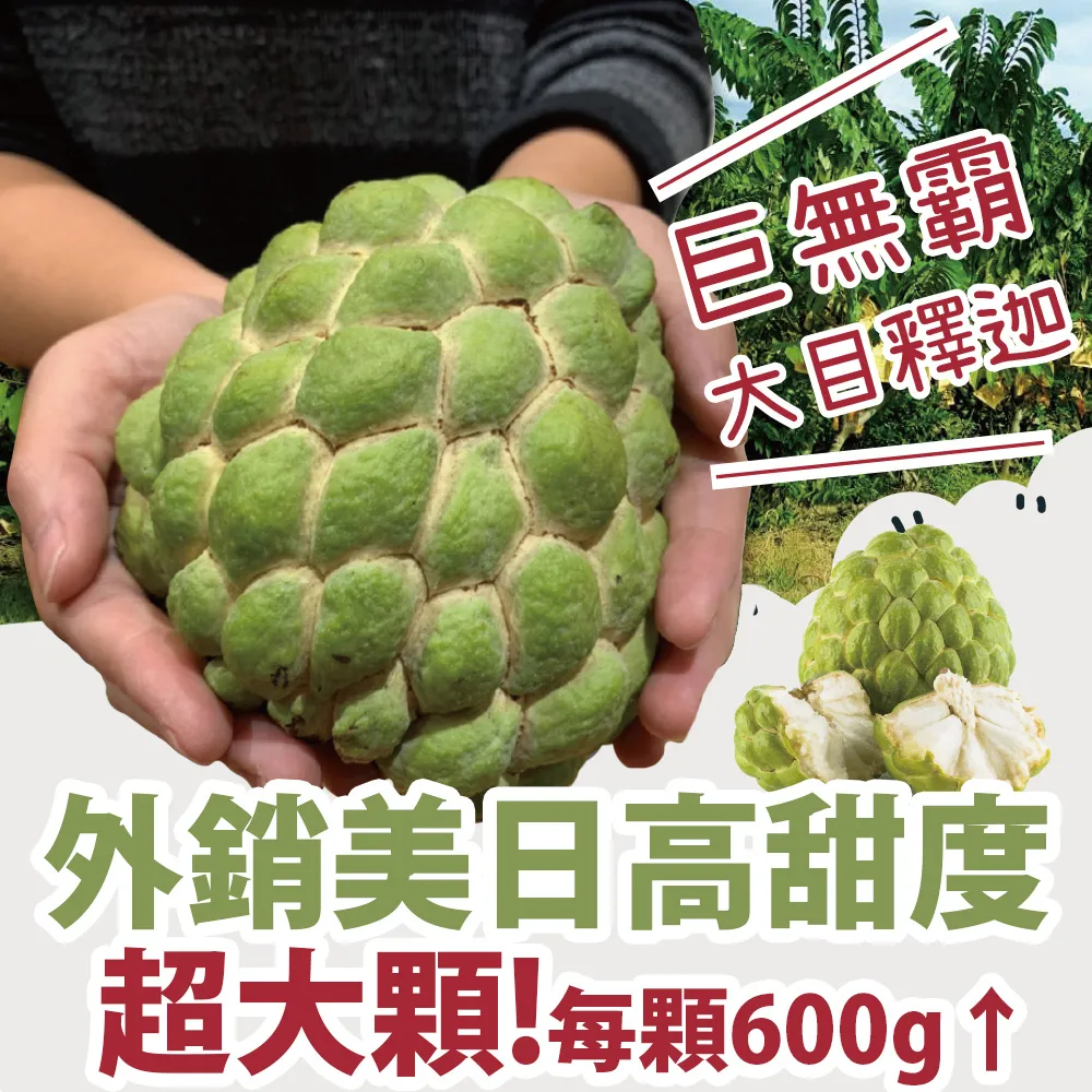 巨無霸大觀音 歷史價格詳細信息