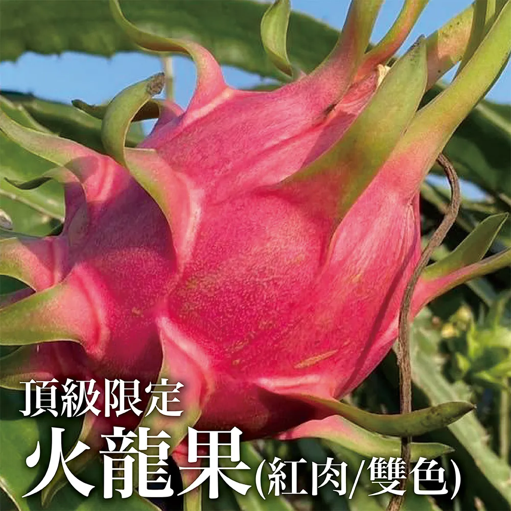 【十翼饌選果】頂級寶島甘露梨32A/5粒/9臺斤x1盒(友善農耕/草生栽植/無除草劑) 歷史價格詳細信息