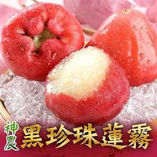 【愛上鮮果】台南無毒安心酪梨2箱(4斤±10%/箱) 歷史價格詳細信息