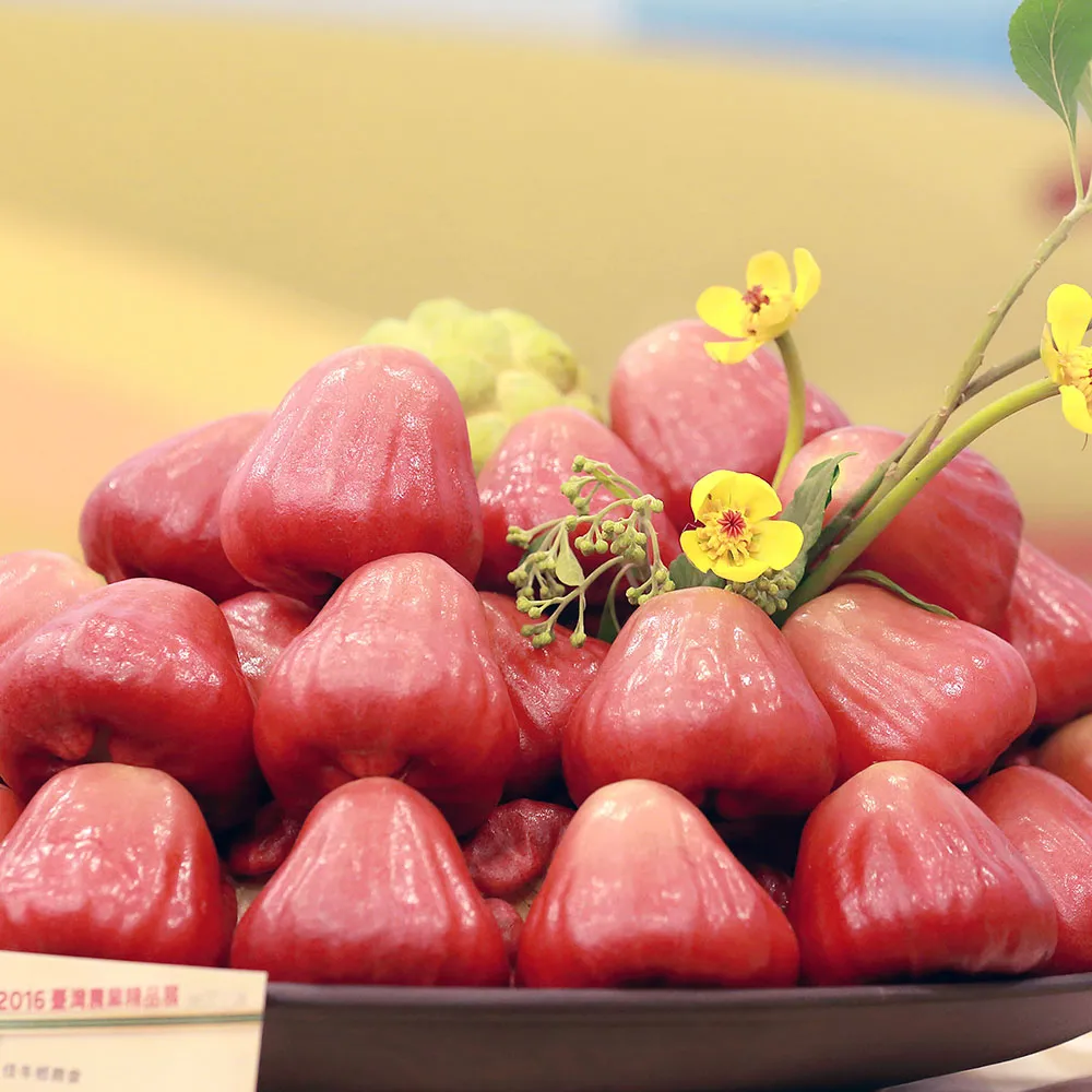 優質蓮蓬頭軟管(150cm)【小北百貨】 歷史價格詳細信息