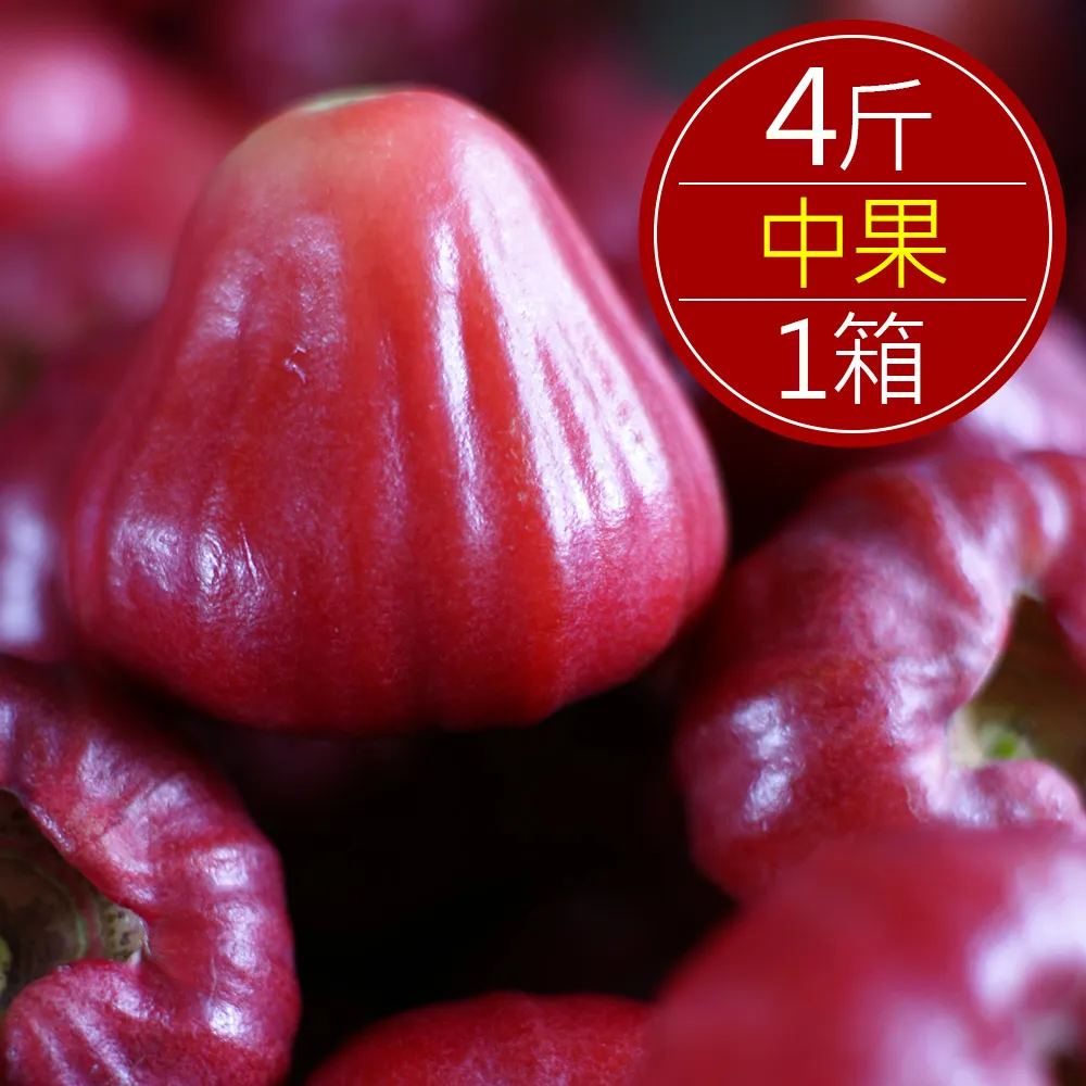 屏東大鵬灣東方渡假酒店《花園客房》雙人房每位1950元/歡迎公司旅遊/會議/奬勵福委洽詢 歷史價格詳細信息