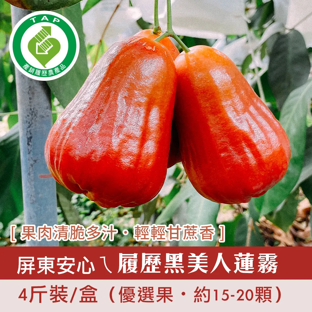 現貨-真的好美~奶油白圈圈 無耳洞_耳夾耳環(附矽膠軟墊)【913022】 歷史價格詳細信息