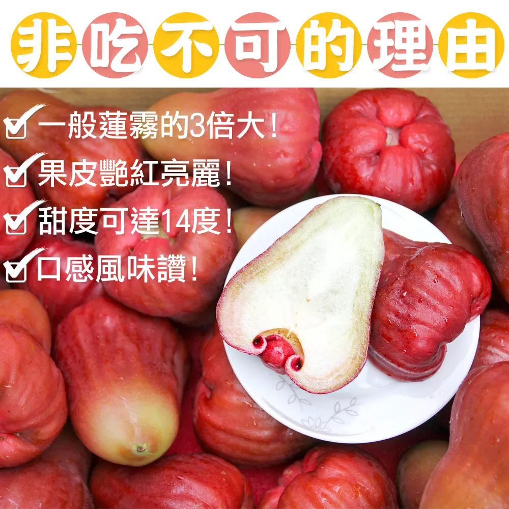 【鮮果日誌】蓮霧界的LV 黑糖芭比4台斤 歷史價格詳細信息