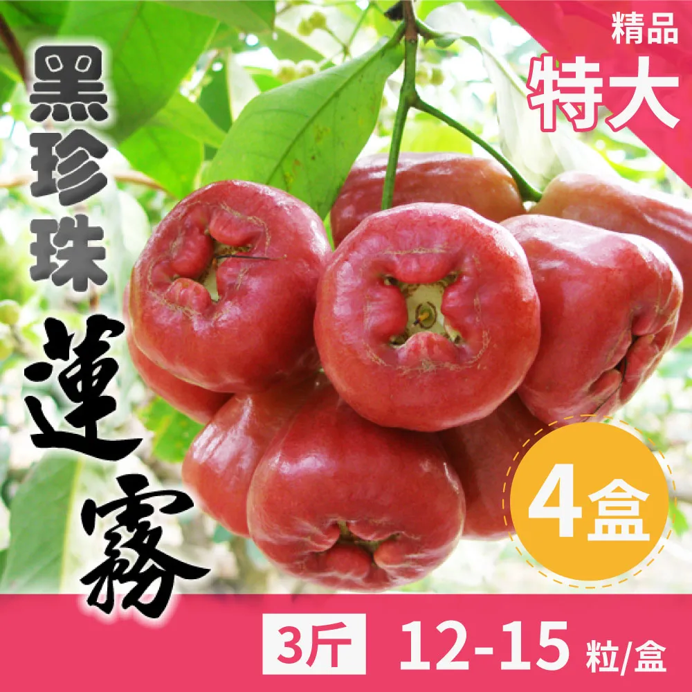 家購網嚴選 屏東紅肉火龍果5斤/盒 大(約7-8顆/盒) 歷史價格詳細信息