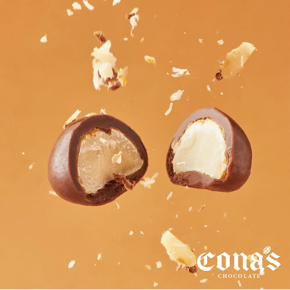 Cona's 鹽味焦糖薄片夾心巧克力 48g【家樂福】 歷史價格詳細信息