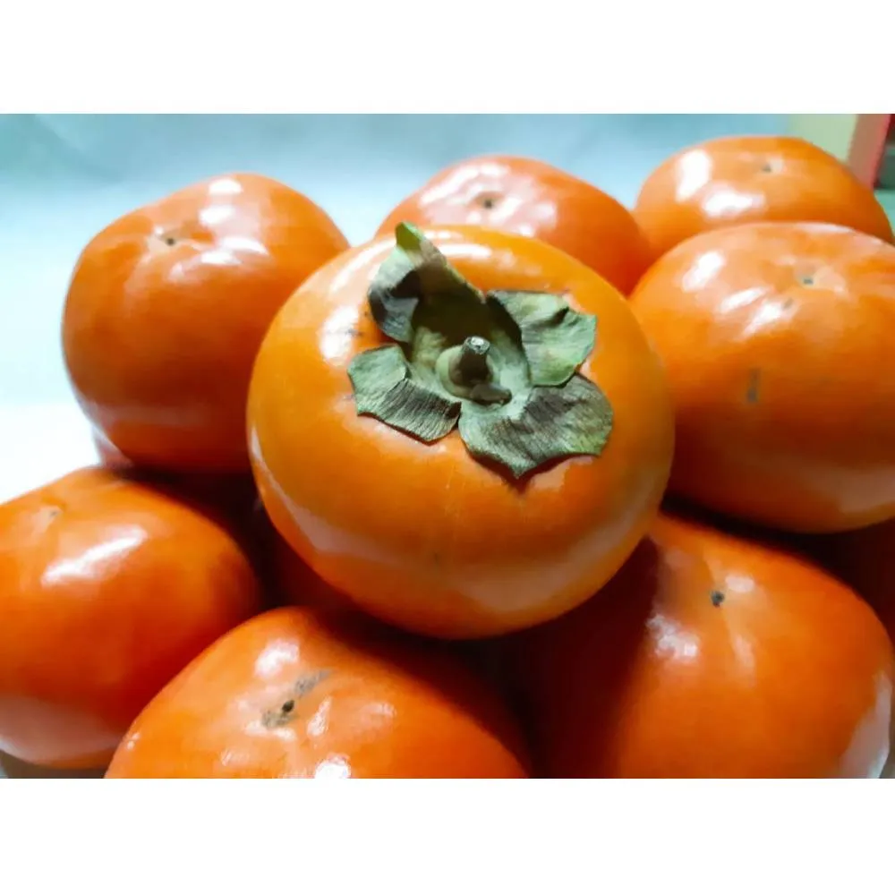 【梨山福慧果園】雪梨8大(5400克±5%/每粒16-18兩) 歷史價格詳細信息