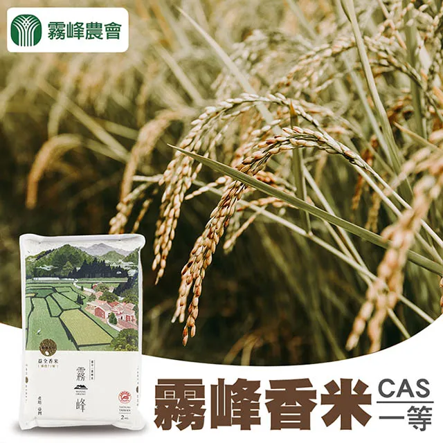 【霧峰農會】玄米龍眼花茶-6g-12入-罐 (2罐組) 歷史價格詳細信息