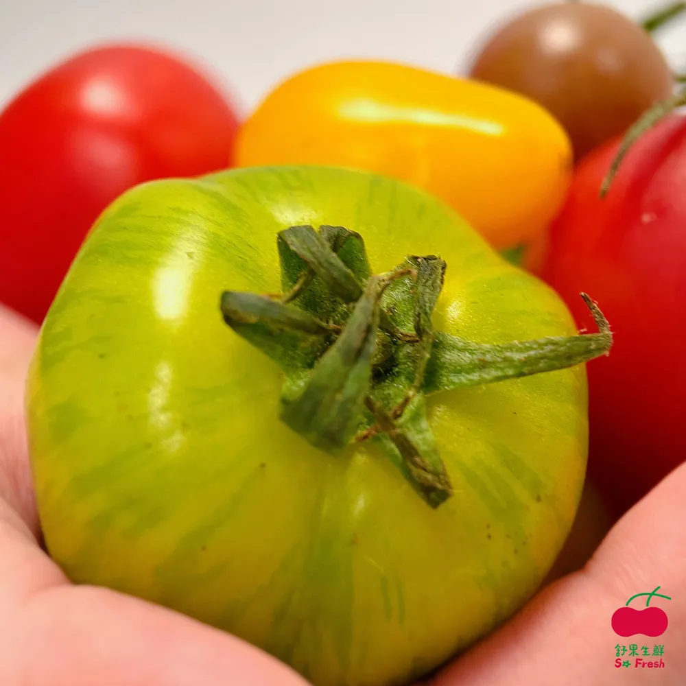 【舒果SoFresh】台灣紅肉火龍果_原裝箱x1箱 (10-11顆/約6kg/原裝箱) 歷史價格詳細信息