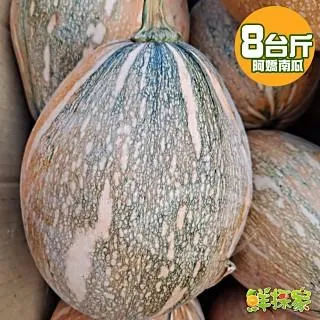 阿嬌紙草版蝴蝶結大簷帽夏季出遊空頂帽防曬遮陽帽品質太陽帽 歷史價格詳細信息