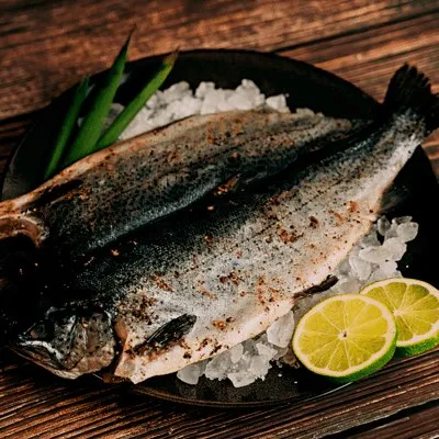 在家也能種食蟲植物   【金石堂】 歷史價格詳細信息