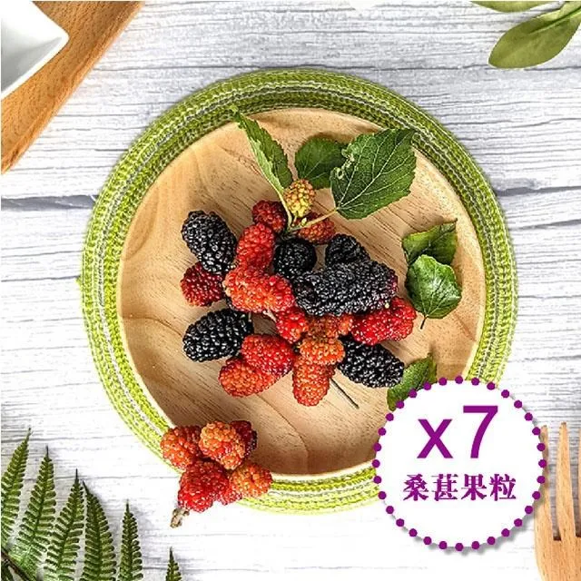 老農夫系列工具s270直鋸s330彎鋸s350直鋸鋸片木柄塑柄省力型 歷史價格詳細信息