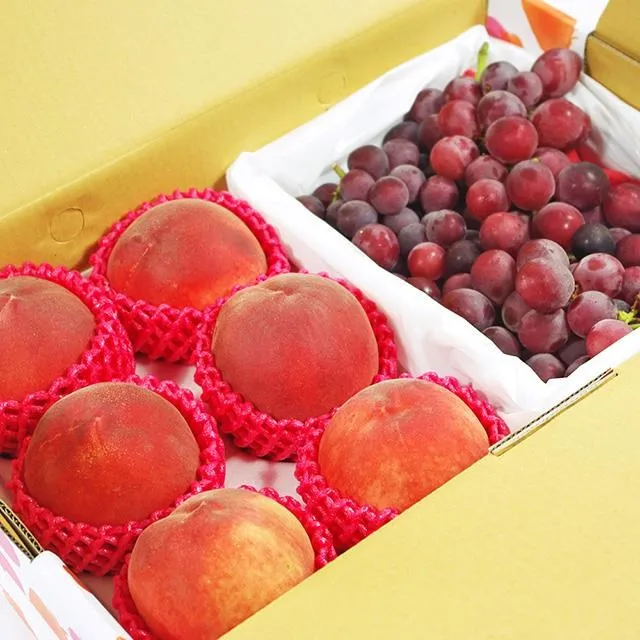 金健康挺脊護腰石墨烯椅墊 歷史價格詳細信息